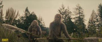 Everything You Need to Know About Sasquatch Sunset Movie (2024)