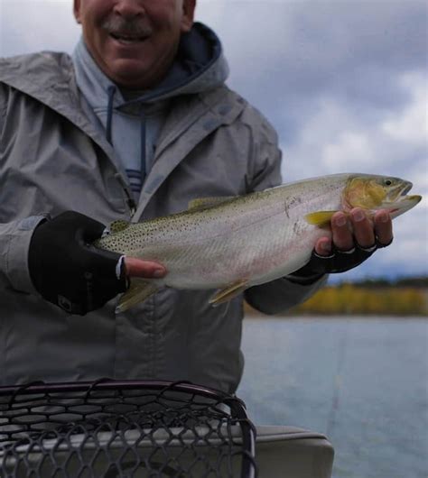 Fishing In Glacier National Park, MT | Montana Fishing Guides