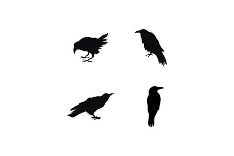 Raven Vector Logo Template Graphic by abi pandu · Creative Fabrica