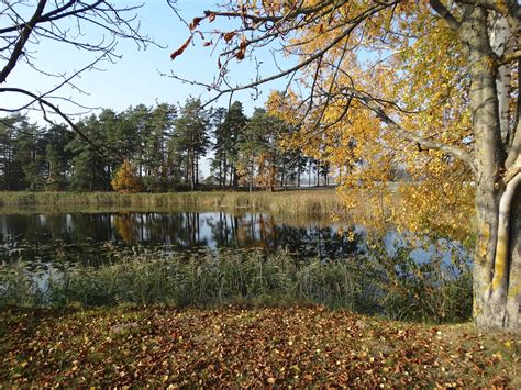 Seasons in Lithuania: Weather and Climate