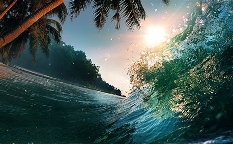 Online crop | HD wallpaper: 4k, ocean, 5k, 8k, Wave, sun, palms ...