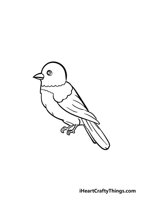 Bird Drawing - How To Draw A Bird Step By Step!