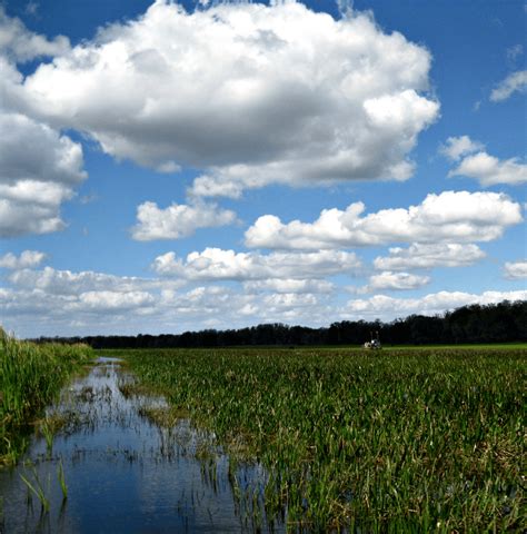 Everglades Airboat Tour with Wild Florida - Momma To Go Travel