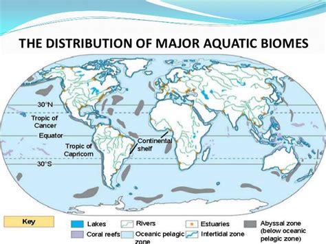 Biome Definition, Types Examples Video Lesson Transcript, 47% OFF