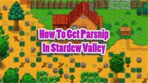 How To Get Parsnip Seeds In Stardew Valley