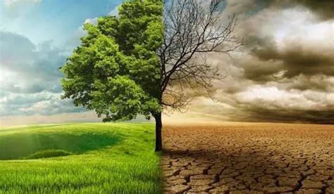 FG says Nigeria ready to fulfil Paris Agreement on climate change