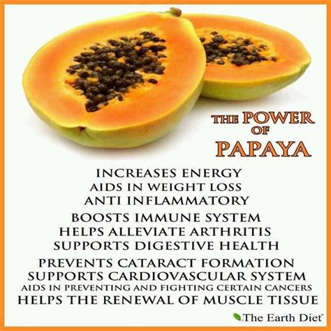 Health benefits of papaya fruit:- http://www.learnhandyhealthandwellnesstips.com | Papaya ...