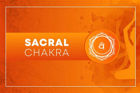 Sacral Chakra (Svadhishthana): Meaning, Location, and Symptoms of Blocked / Balance - Fitsri Yoga