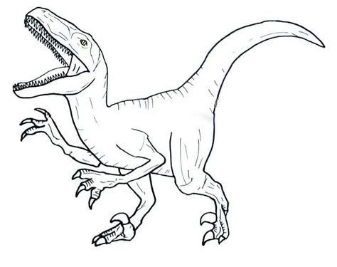 Coloriage Dessin Dinosaure Velociraptor Dessin | The Best Porn Website