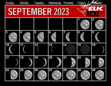 Which Week to Hunt Elk in 2023? | Elk101.com | Eat. Sleep. HUNT ELK!