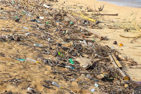 Beach clean-up activity to commemorate Environment day – NCPC