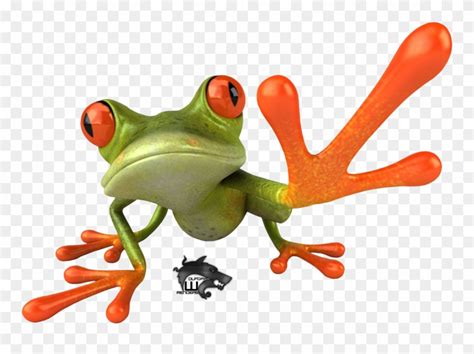 tree frog png 10 free Cliparts | Download images on Clipground 2024