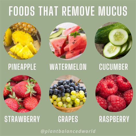 Foods we eat can either create mucus or eliminate it. These 6 foods can ...