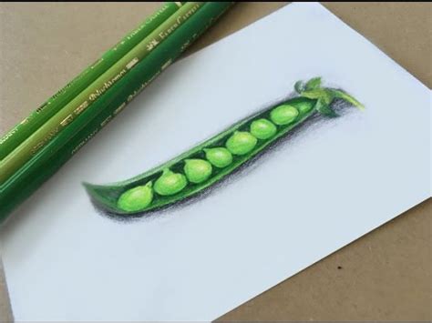 Pea Pod Drawing at PaintingValley.com | Explore collection of Pea Pod ...