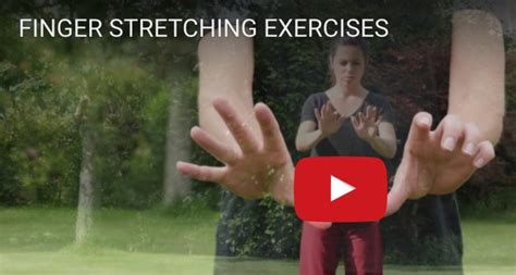 Introduction to basic Qigong for beginners - free videos & instructions