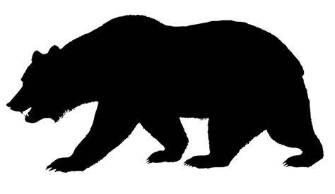 Silhouette of bear jogging through the forest. A forest animal silhouette from the huge ...
