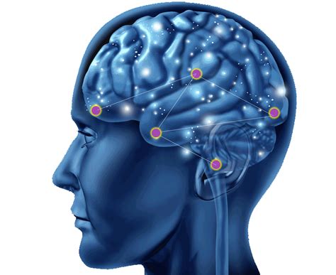 About Neurofeedback – Neurofeedback Seattle