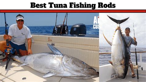 8 Best Tuna Fishing Rods In 2023 [Never Failed] - Attractive Fishing