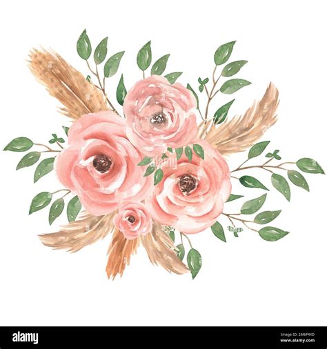 Watercolor hand drawn pink roses flower bouquet illustration with green leaves, buds, feathers ...