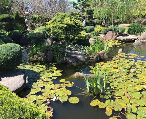 Himeji Garden (Adelaide, Australia) - Review - Tripadvisor