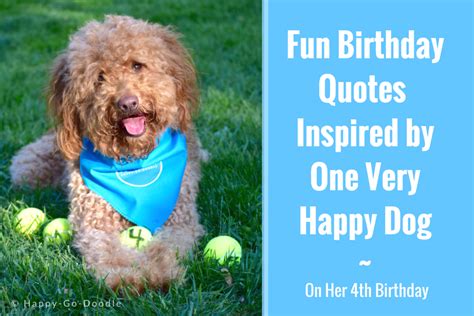 40 Fun Birthday Quotes From a Ridiculously Happy Birthday Dog