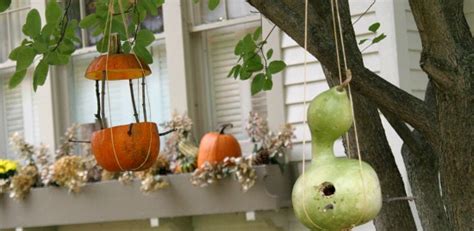 DIY Pumpkin Bird Feeder and Bath - Hoosier Homemade