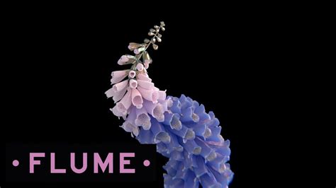 Flume - Helix - YouTube