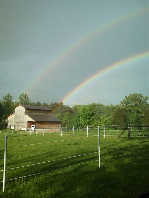 Greenback, Tennessee by Steve | East tennessee, Beautiful lakes, Tennessee