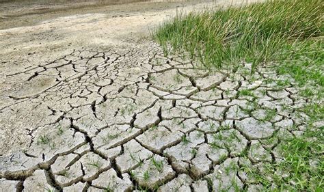 How Does Deforestation Affect The Earth S Atmosphere - The Earth Images Revimage.Org