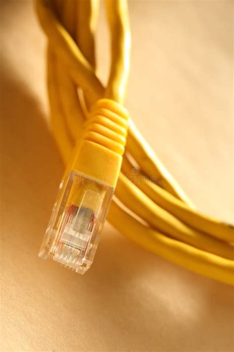 Yellow Ethernet Cable and Gavel Stock Image - Image of data, connect: 31445899