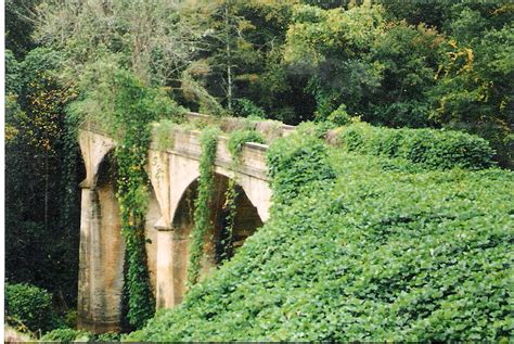 Ivy covered bridge Photograph by Felix Turner