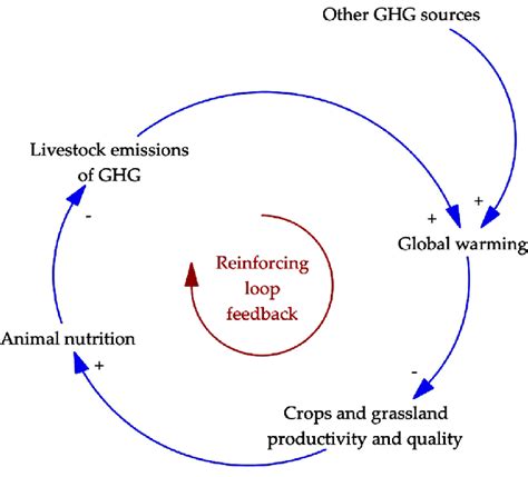 causal diagram showing the reinforcement feedback loop that is formed... | Download Scientific ...