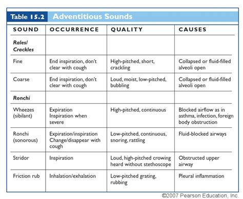 Adventitious Breath Sounds | Respiratory Tract | Exhalation