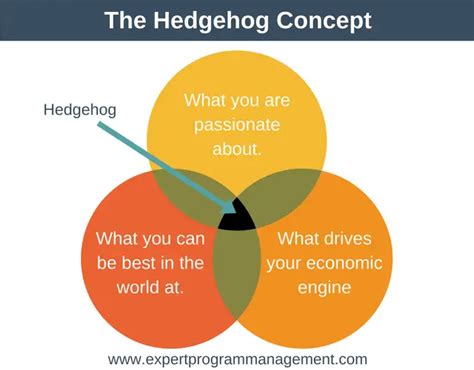 The Hedgehog Concept - Strategy Training from EPM