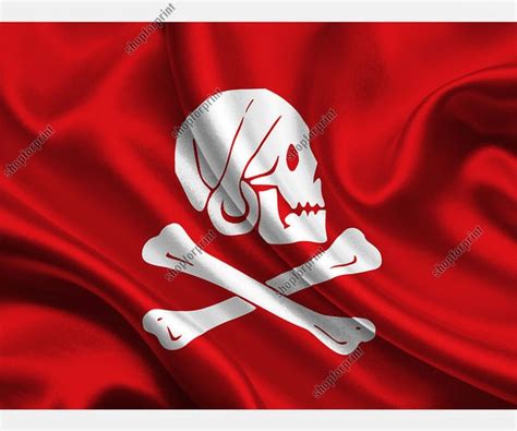 Red Pirate Flag Image Vector