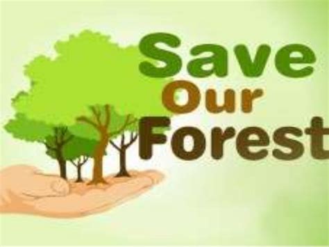 Save our forest