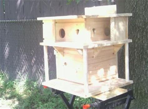 22 best Squirrel Nest Box Plans | Squirrel Den Box Plans images on ...