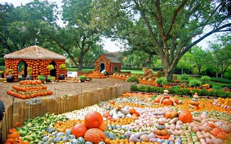 6 Amazing Pumpkin Displays You Have to See to Believe | Pumpkin display, Dallas arboretum, Event ...