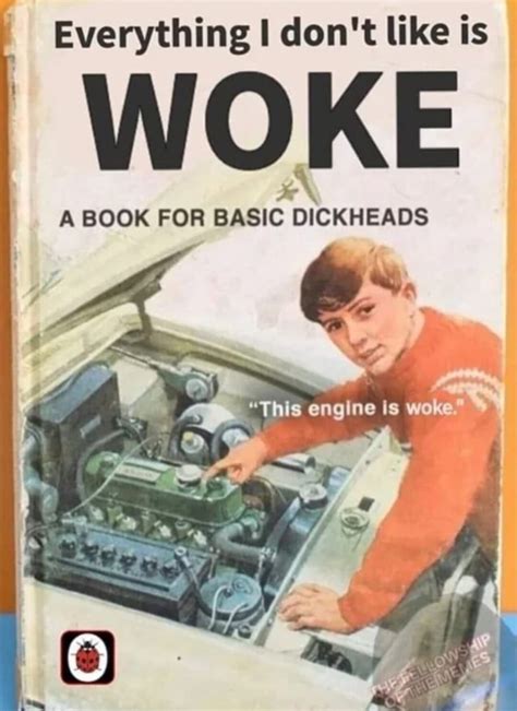 Everything I don't like is WOKE A BOOK FOR BASIC DICKHEADS "This engine ...