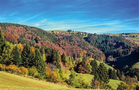 Bliss in Germany's Black Forest and the 5-star superior Hotel Dollenberg