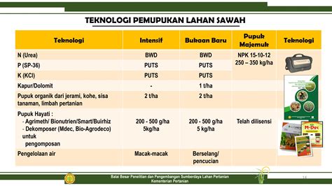 kebutuhan pupuk tanaman padi