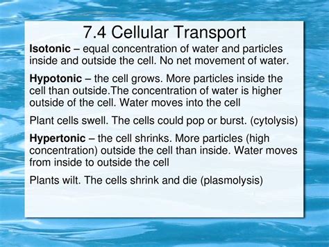 7.2 Plasma Membrane 7.4 Cellular Transport - ppt download