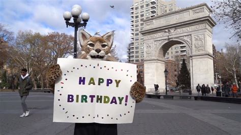 Happy birthday, #NYU Bobcat! - NYU Courant Alumni