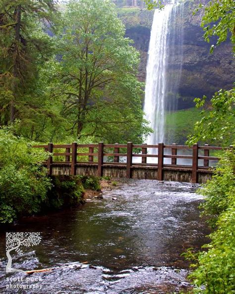 Silver Falls, Oregon | Oregon waterfalls, Silver falls, Beautiful ...