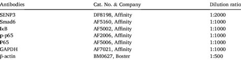 Antibodies used in Western blot. | Download Scientific Diagram