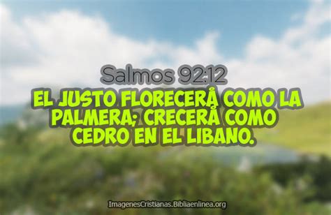 imagenes de Salmos 92:12 El justo florecerá como la palmera - Imagenes ...