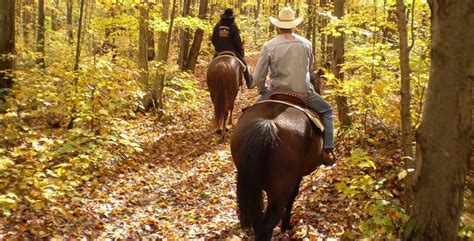 Top 11 Best Horse Breeds For Trail Riding (with videos) – Horse FactBook