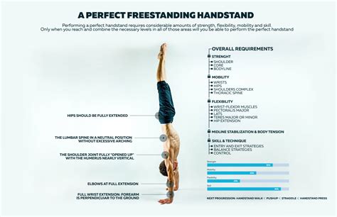 9 Reasons Why You Should Start Doing Handstand Push-Up - Bodyweight ...