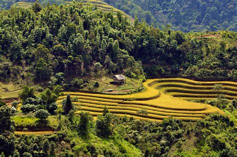 Ha Giang Province travel | Northwest Vietnam, Vietnam - Lonely Planet