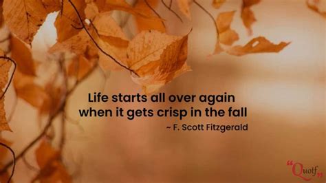 35+ Best Fall Quotes & Sayings About Autumn Season